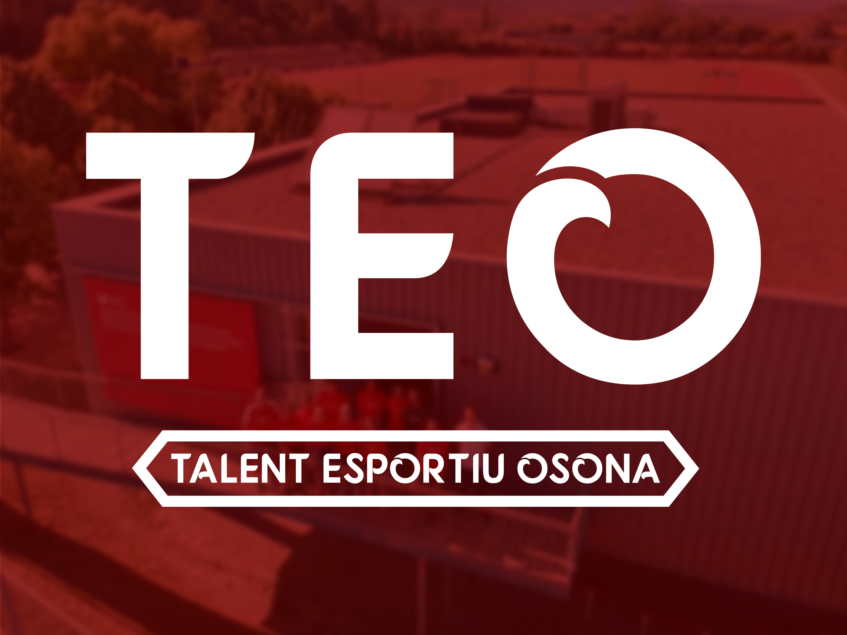 Imatge gràfica de TEO (Talent Esportiu d'Osona)
